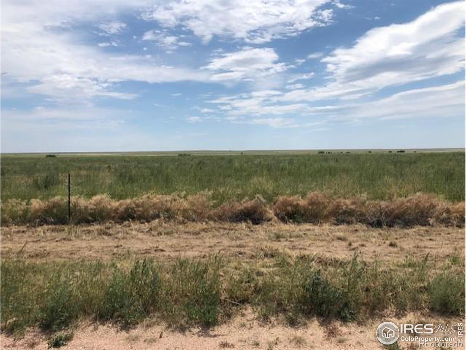 Lot I County Road 43 And 96 Pierce CO 80650