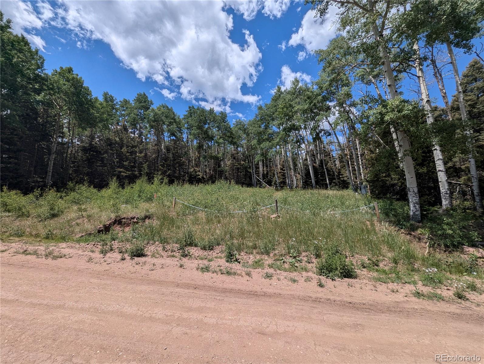 3070 Henderson Drive Fort Garland CO 81133