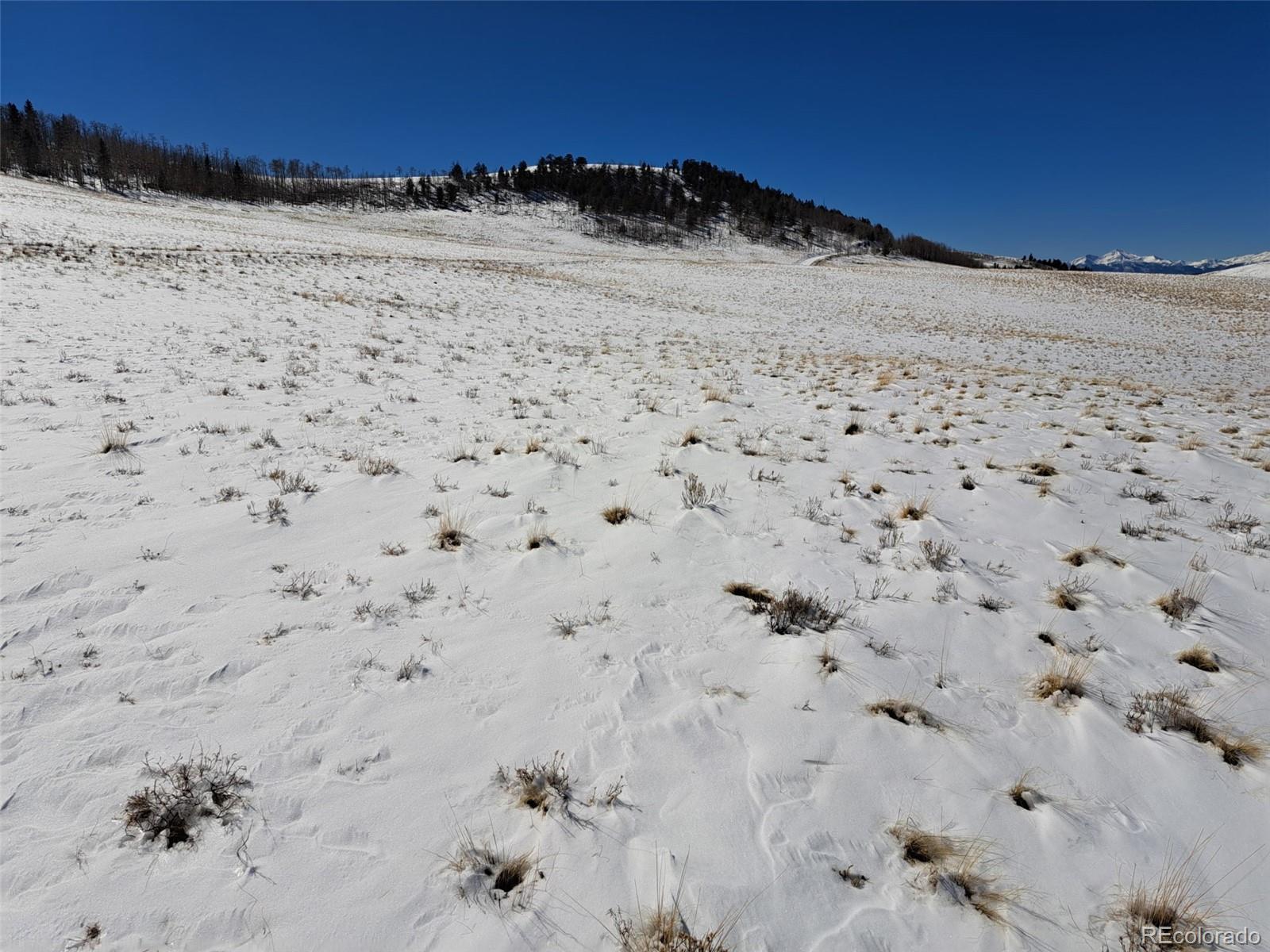 00 Jicarilla Trail Hartsel CO 80449
