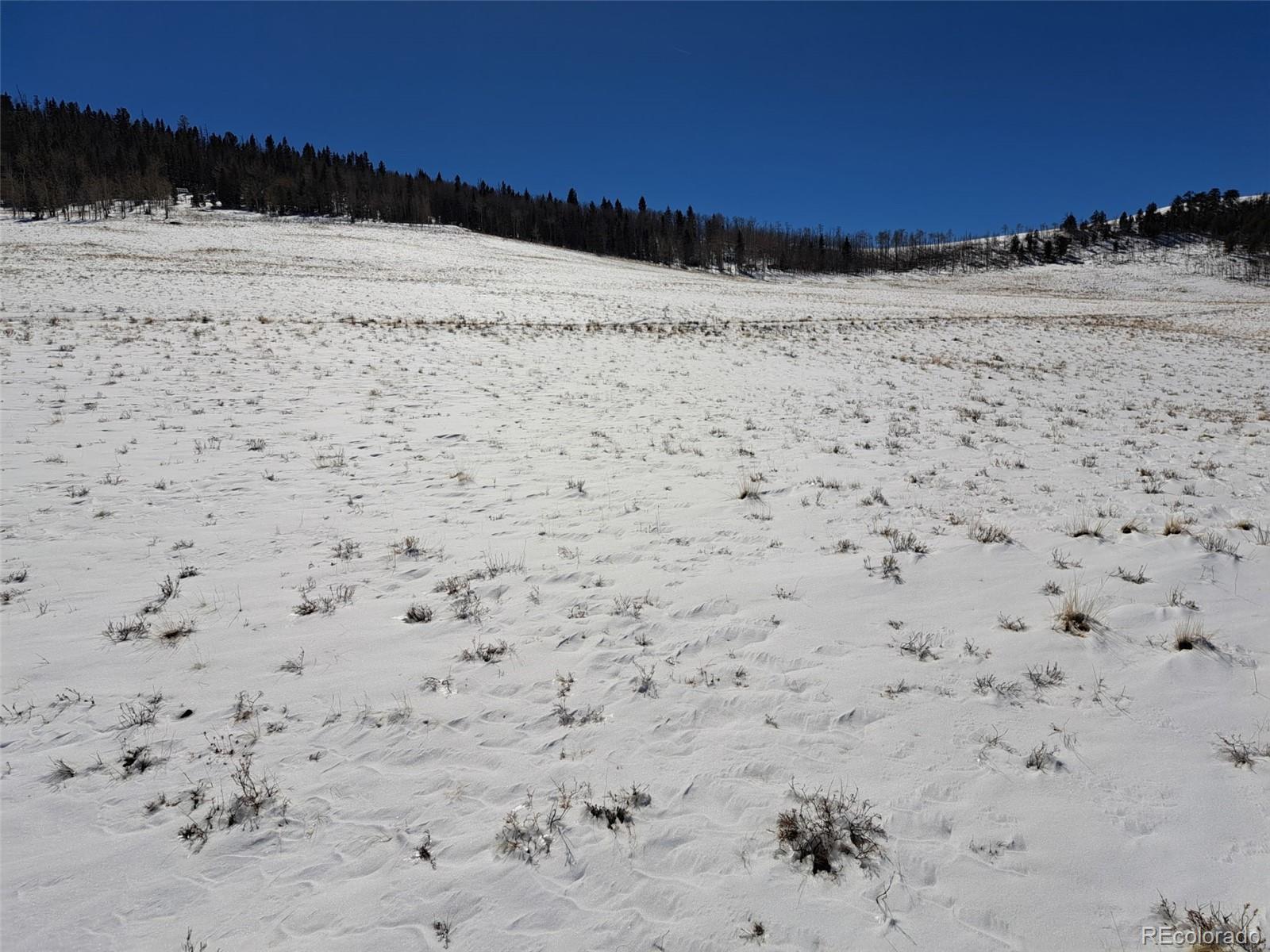 00 Jicarilla Trail Hartsel CO 80449