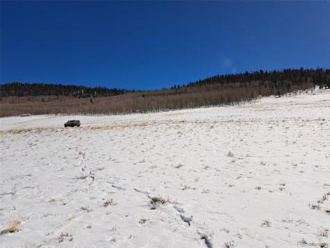 00 Jicarilla Trail Hartsel CO 80449