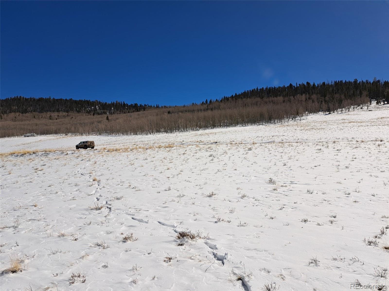 00 Jicarilla Trail Hartsel CO 80449