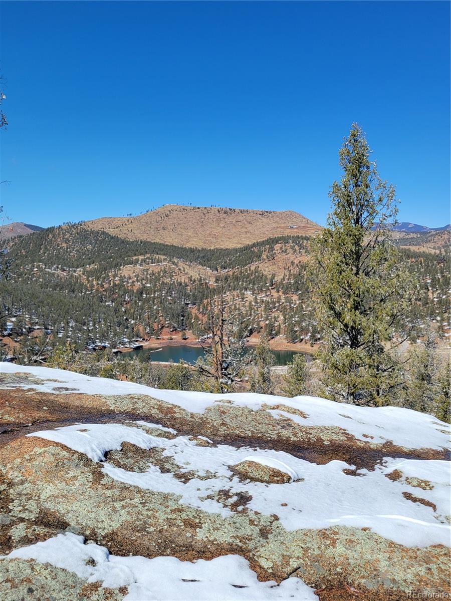 17016 Icehouse Court Pine CO 80470