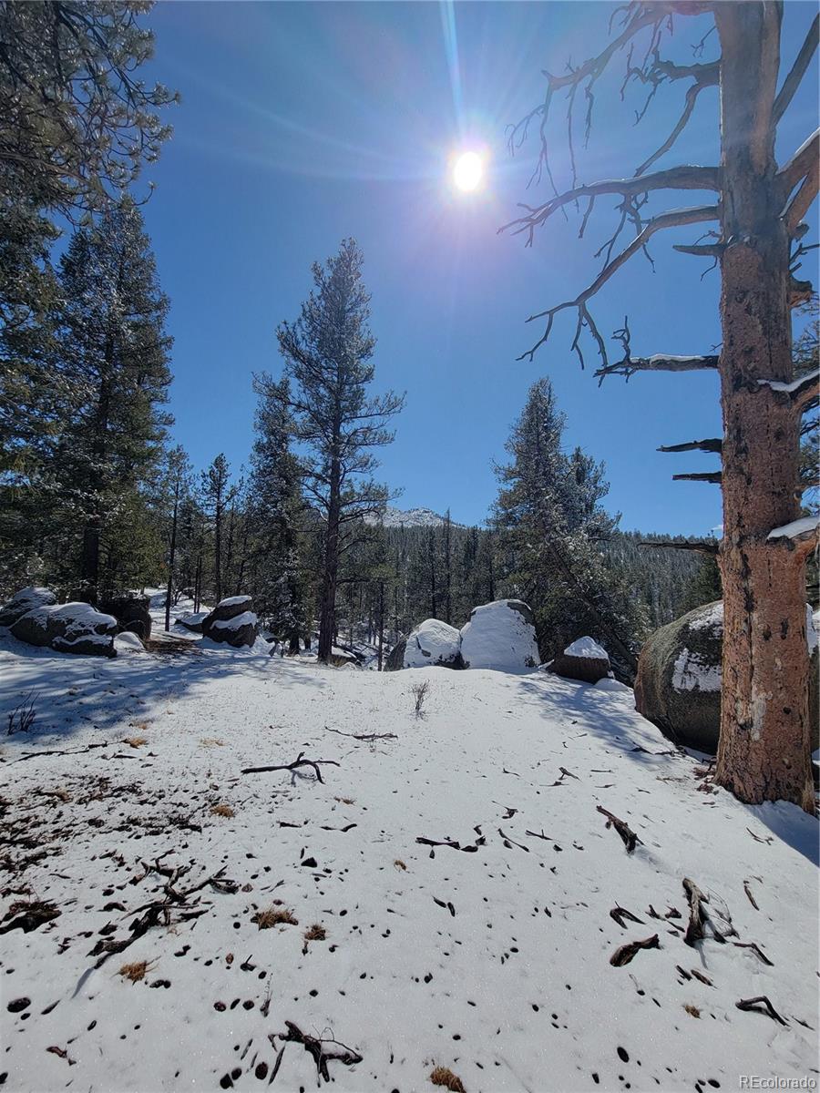 17016 Icehouse Court Pine CO 80470