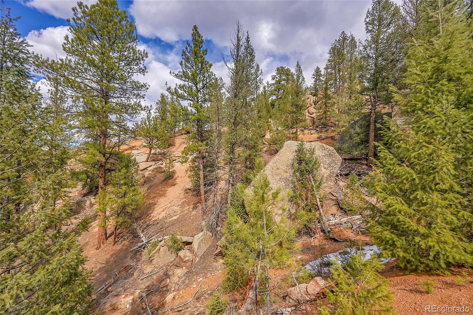17016 Icehouse Court Pine CO 80470