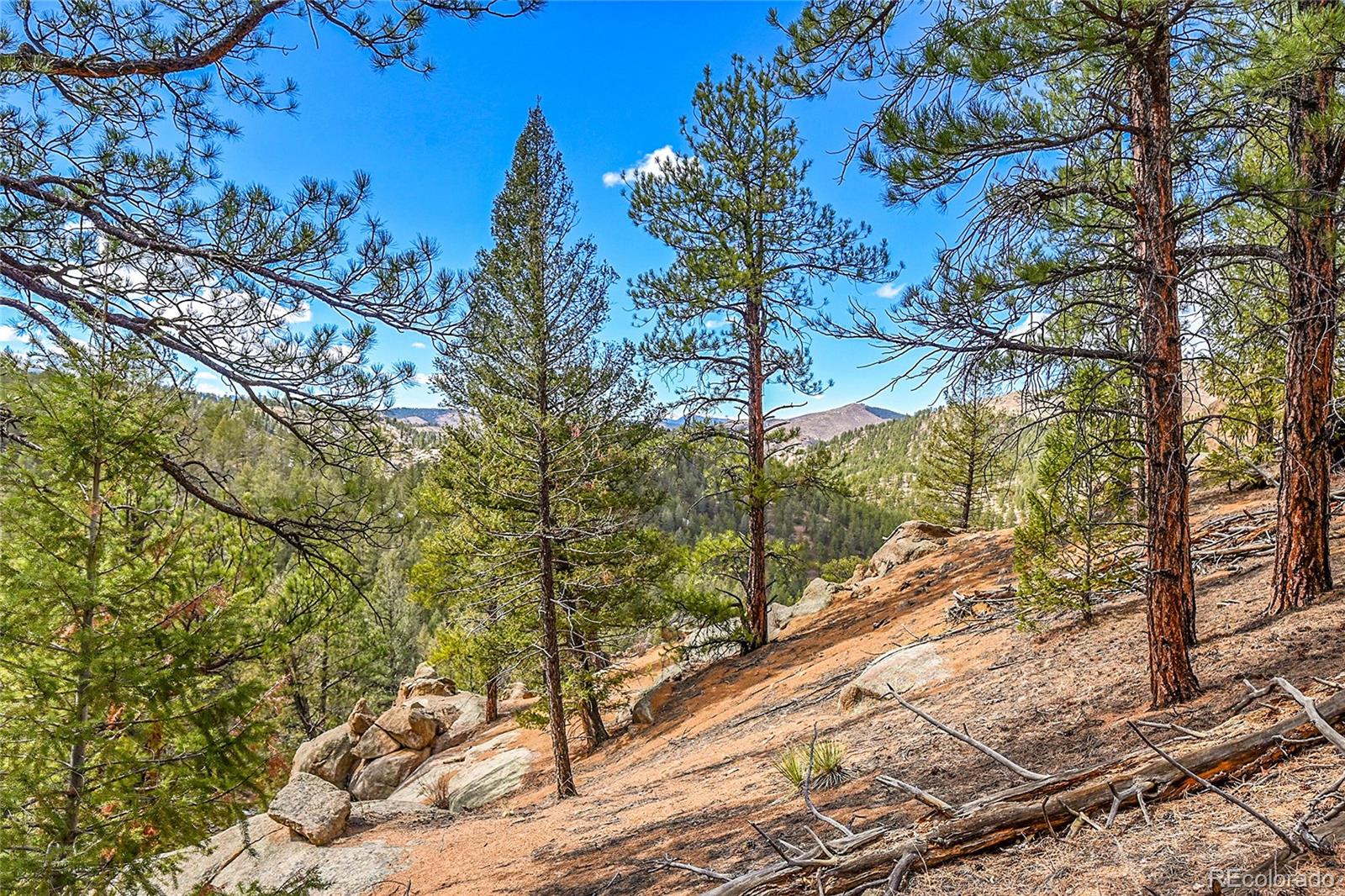 17016 Icehouse Court Pine CO 80470