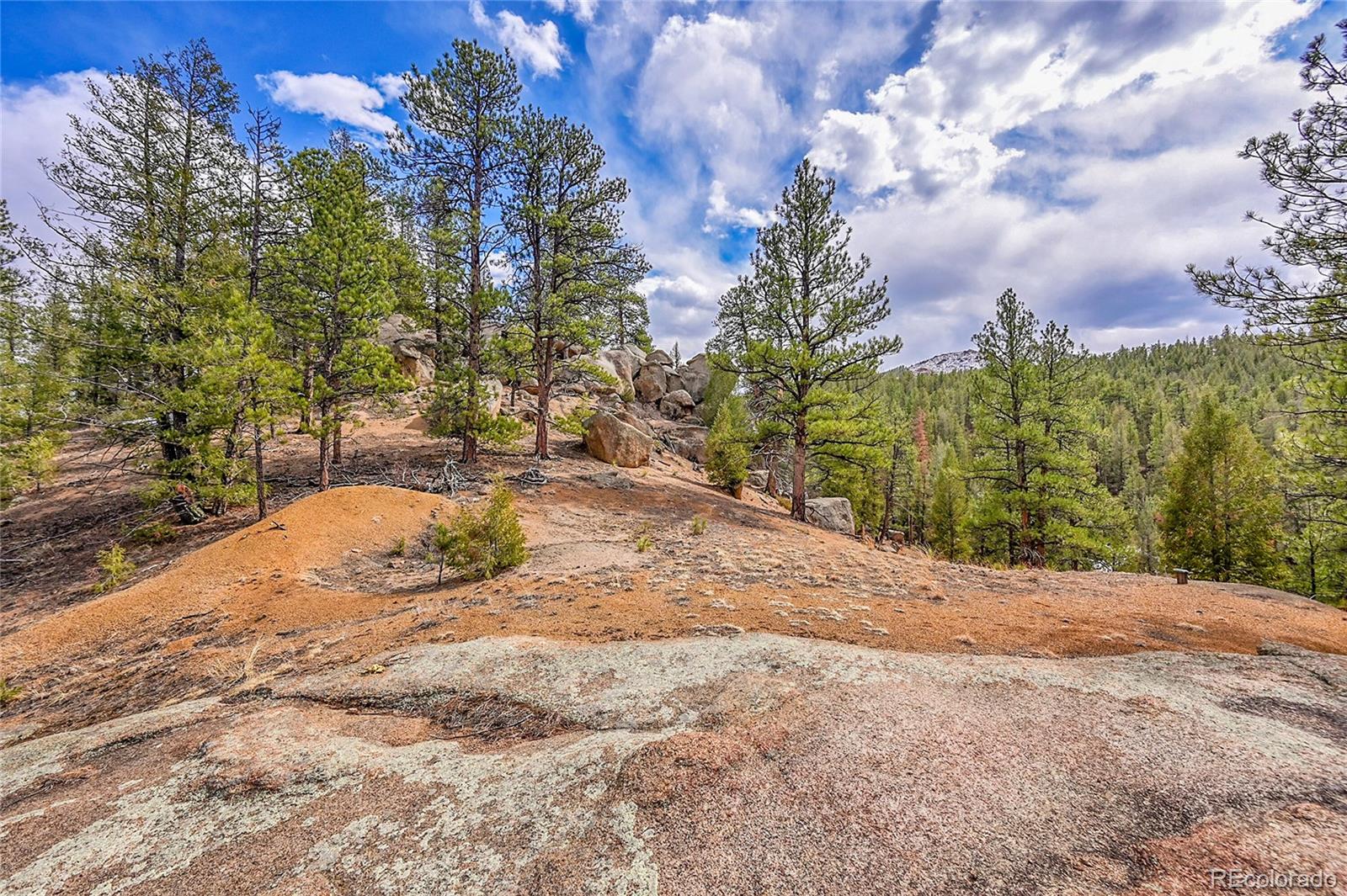 17016 Icehouse Court Pine CO 80470