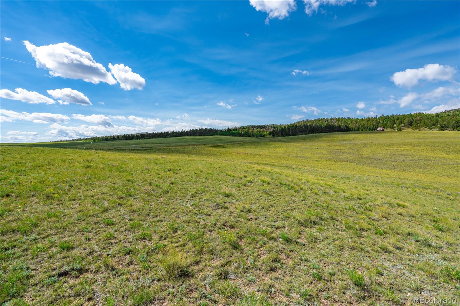635 Hereford Drive Hartsel CO 80449