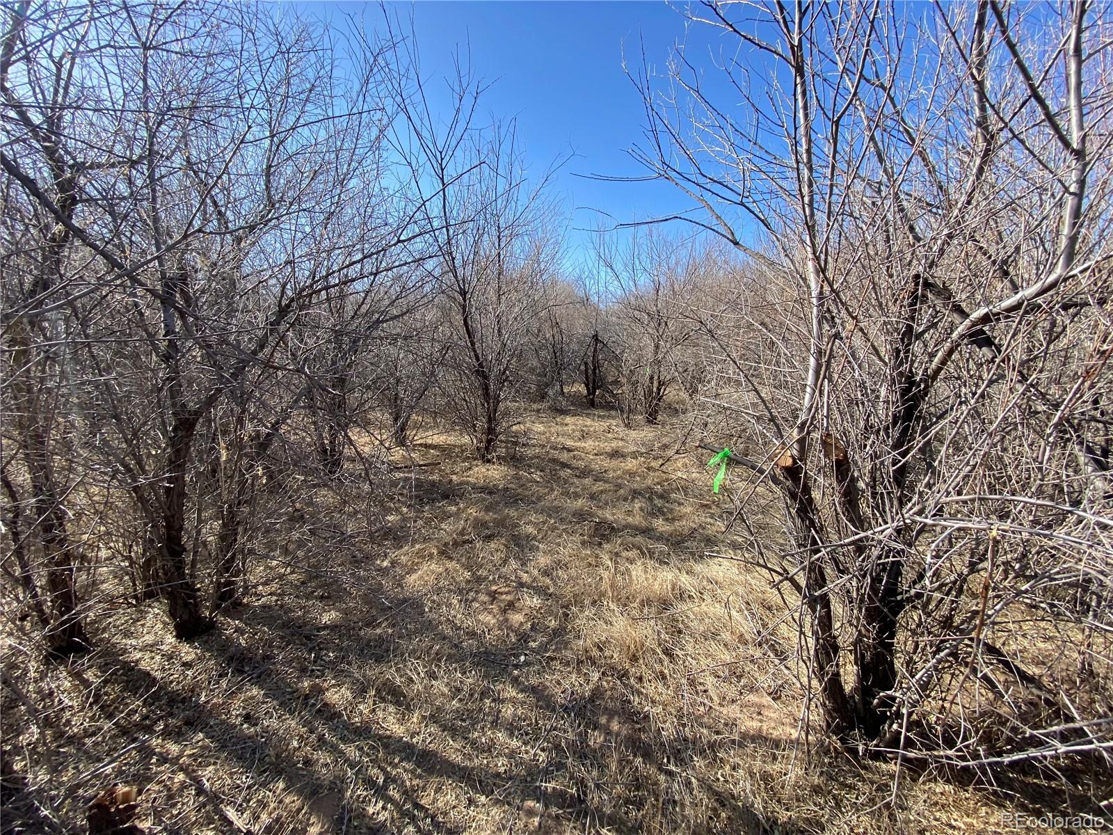 14 Ghost River Ranch Walsenburg CO 80189