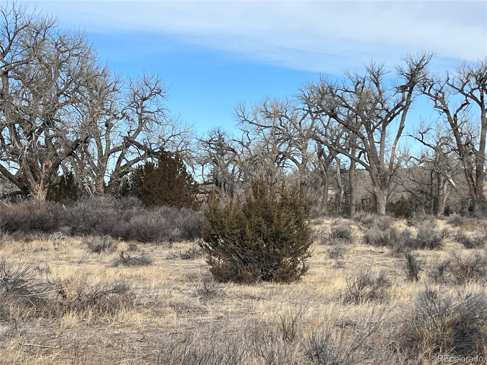14 Ghost River Ranch Walsenburg CO 80189