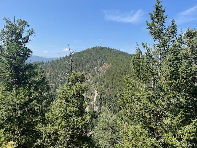 000 Raven Drive Idaho Springs CO 80452