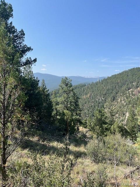 000 Raven Drive Idaho Springs CO 80452