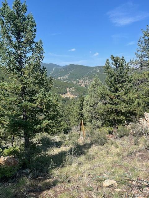 000 Raven Drive Idaho Springs CO 80452