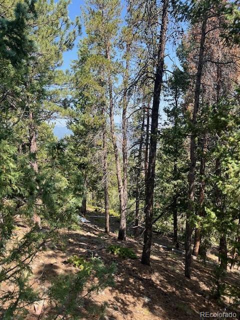 000 Raven Drive Idaho Springs CO 80452