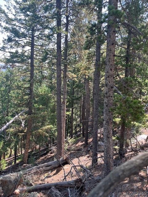 000 Raven Drive Idaho Springs CO 80452