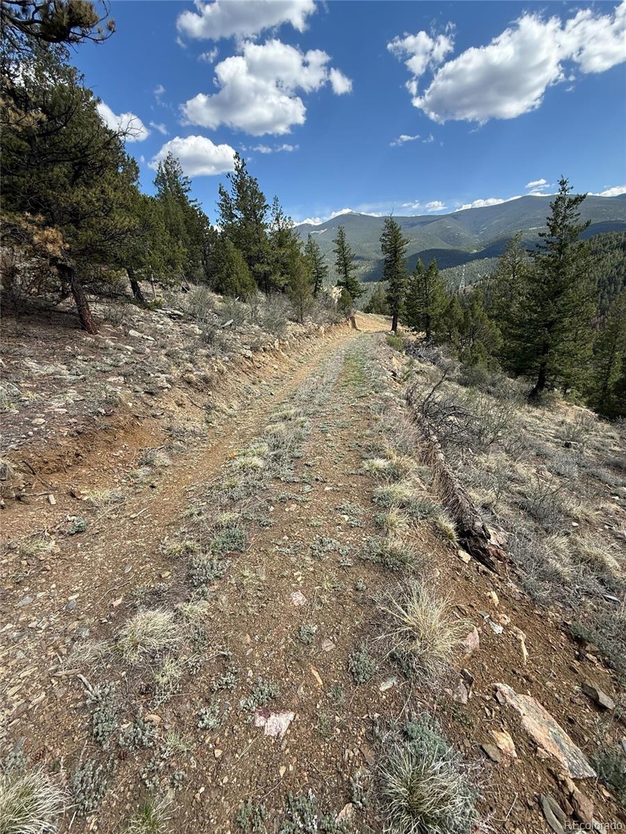 000 Raven Drive Idaho Springs CO 80452