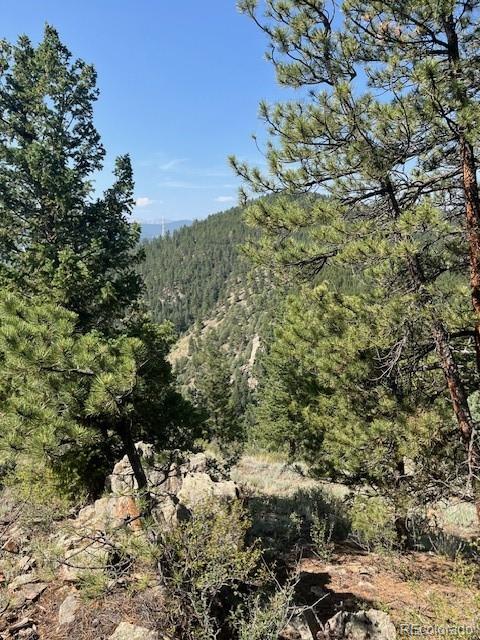 000 Raven Drive Idaho Springs CO 80452