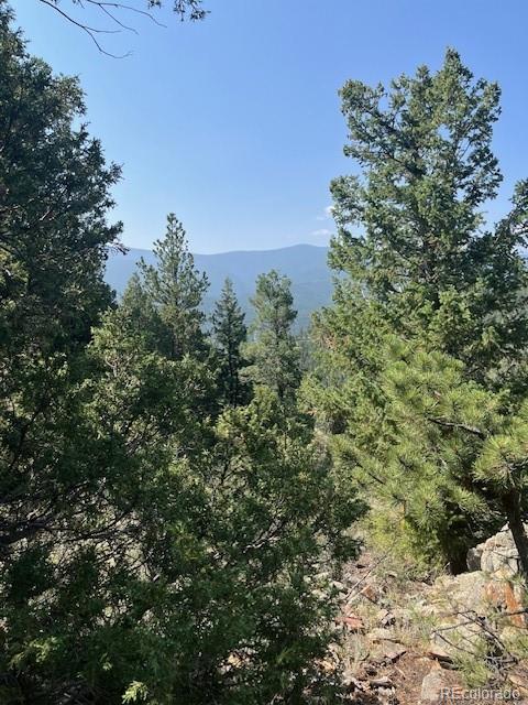 000 Raven Drive Idaho Springs CO 80452