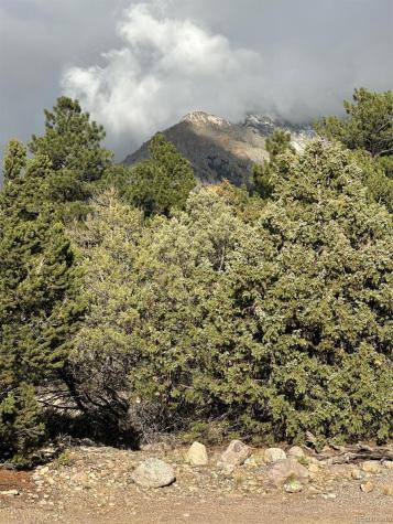 1693 Columbine Crestone CO 81131