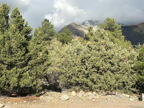 1693 Columbine Crestone CO 81131