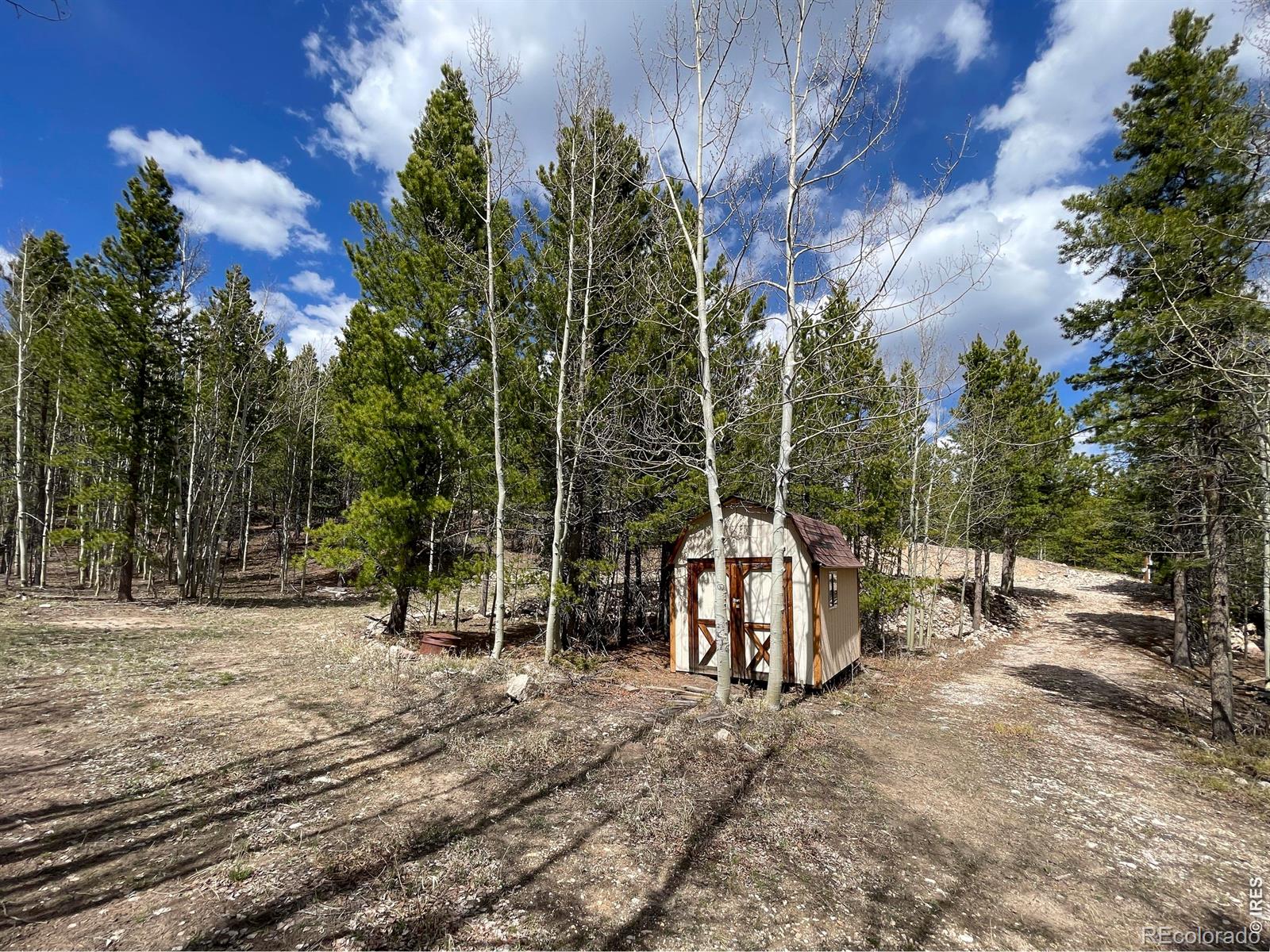 3105 Ottawa Way Red Feather Lakes CO 80545