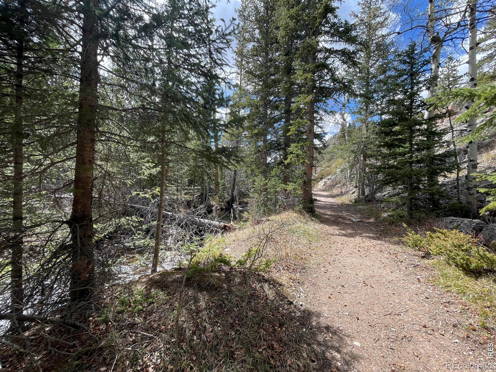 3105 Ottawa Way Red Feather Lakes CO 80545