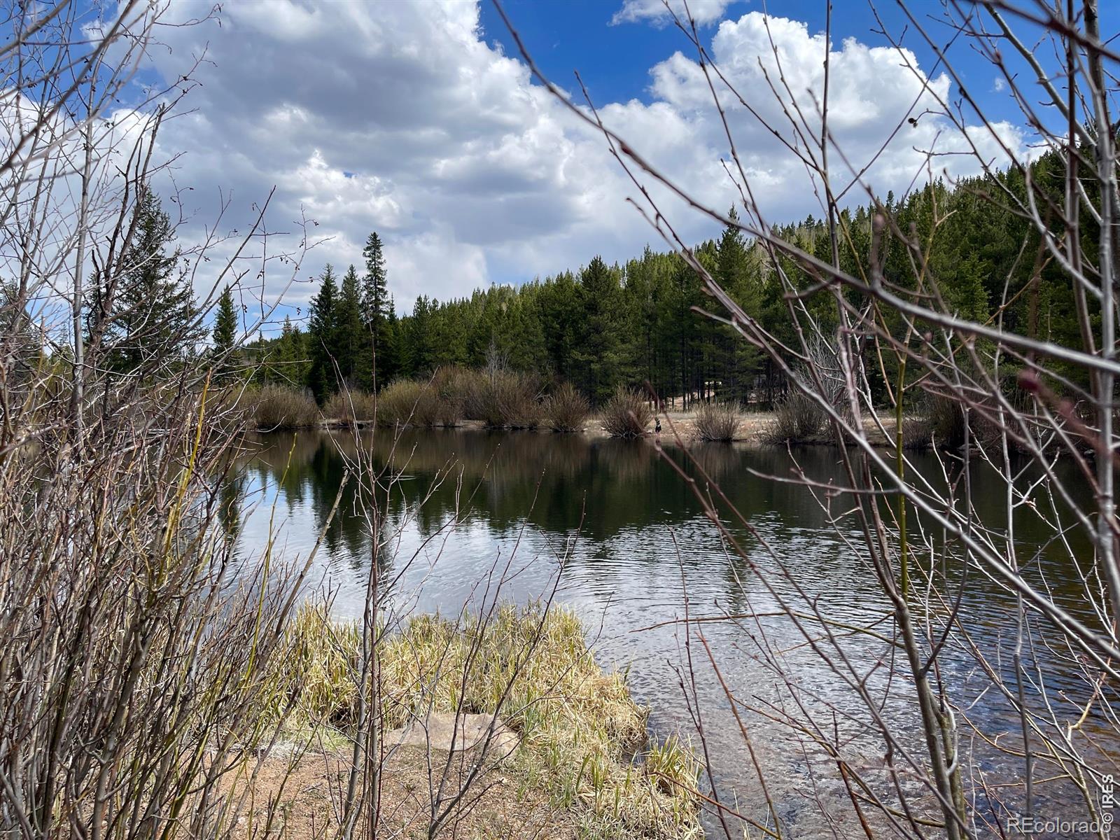 3105 Ottawa Way Red Feather Lakes CO 80545