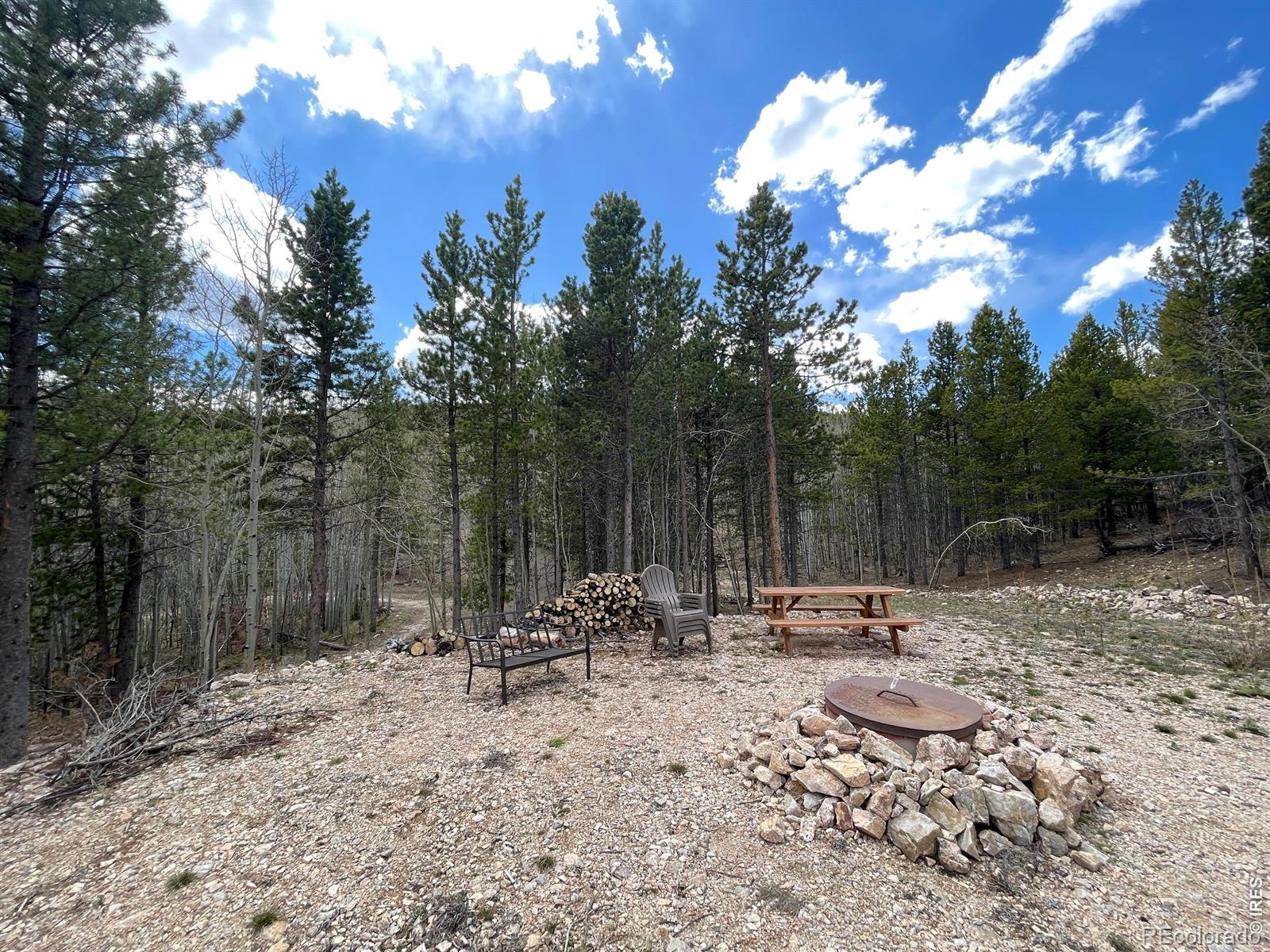 3105 Ottawa Way Red Feather Lakes CO 80545