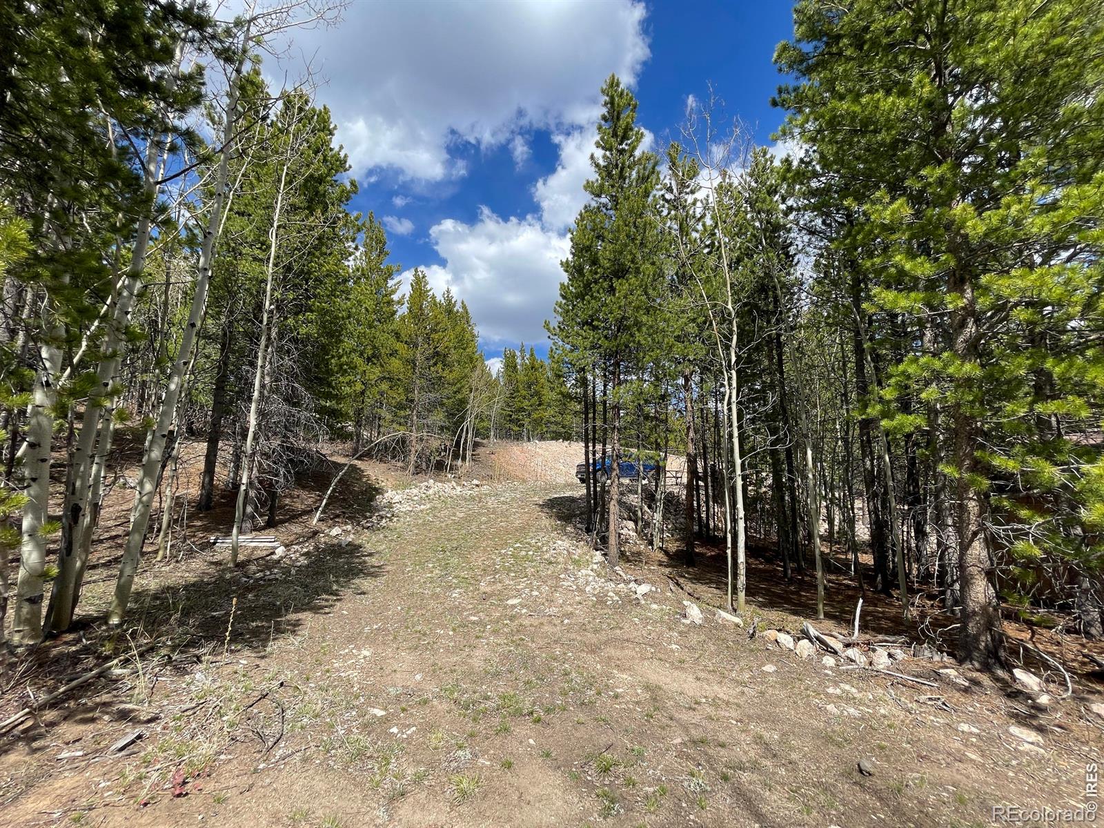 3105 Ottawa Way Red Feather Lakes CO 80545