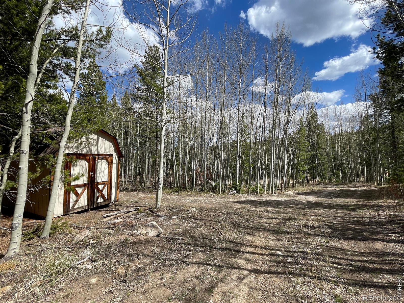 3105 Ottawa Way Red Feather Lakes CO 80545