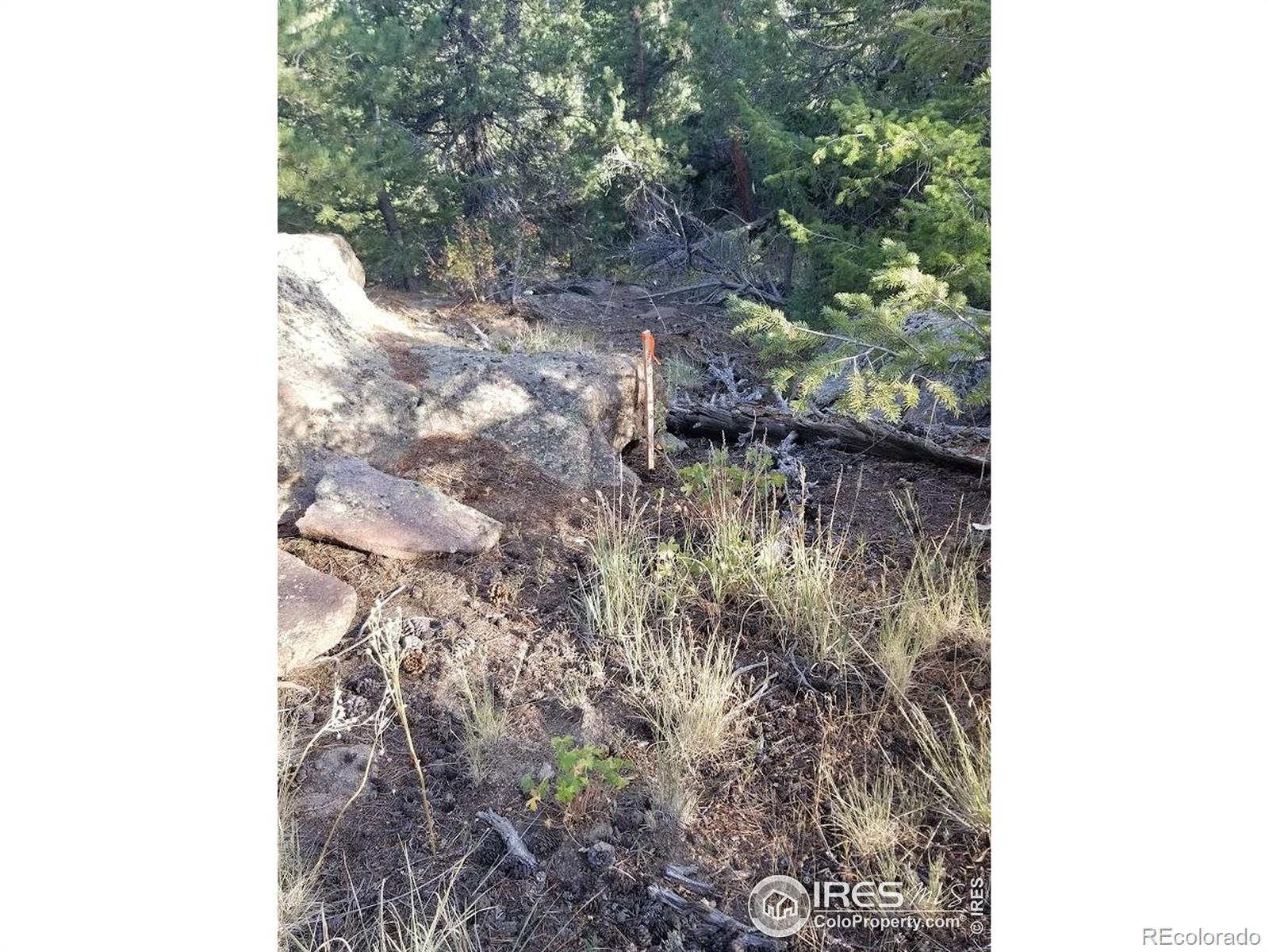 4200 Conifer Hill Road Lyons CO 80540