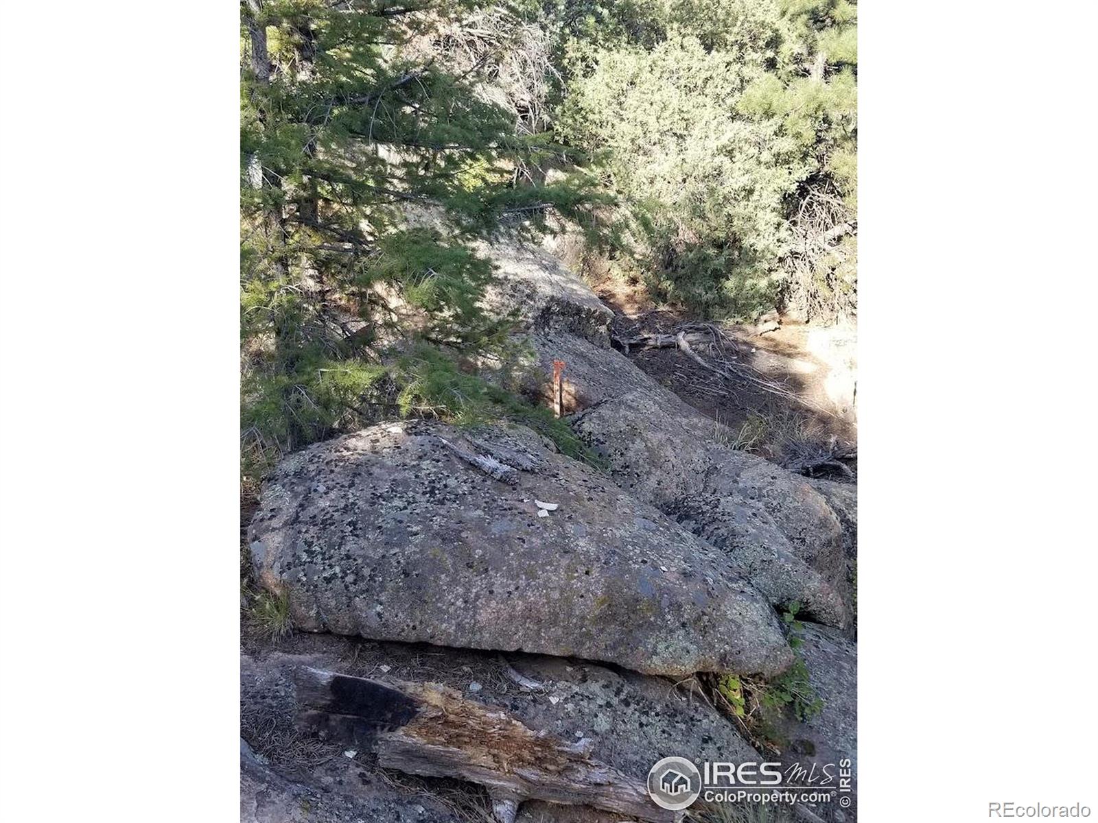 4200 Conifer Hill Road Lyons CO 80540