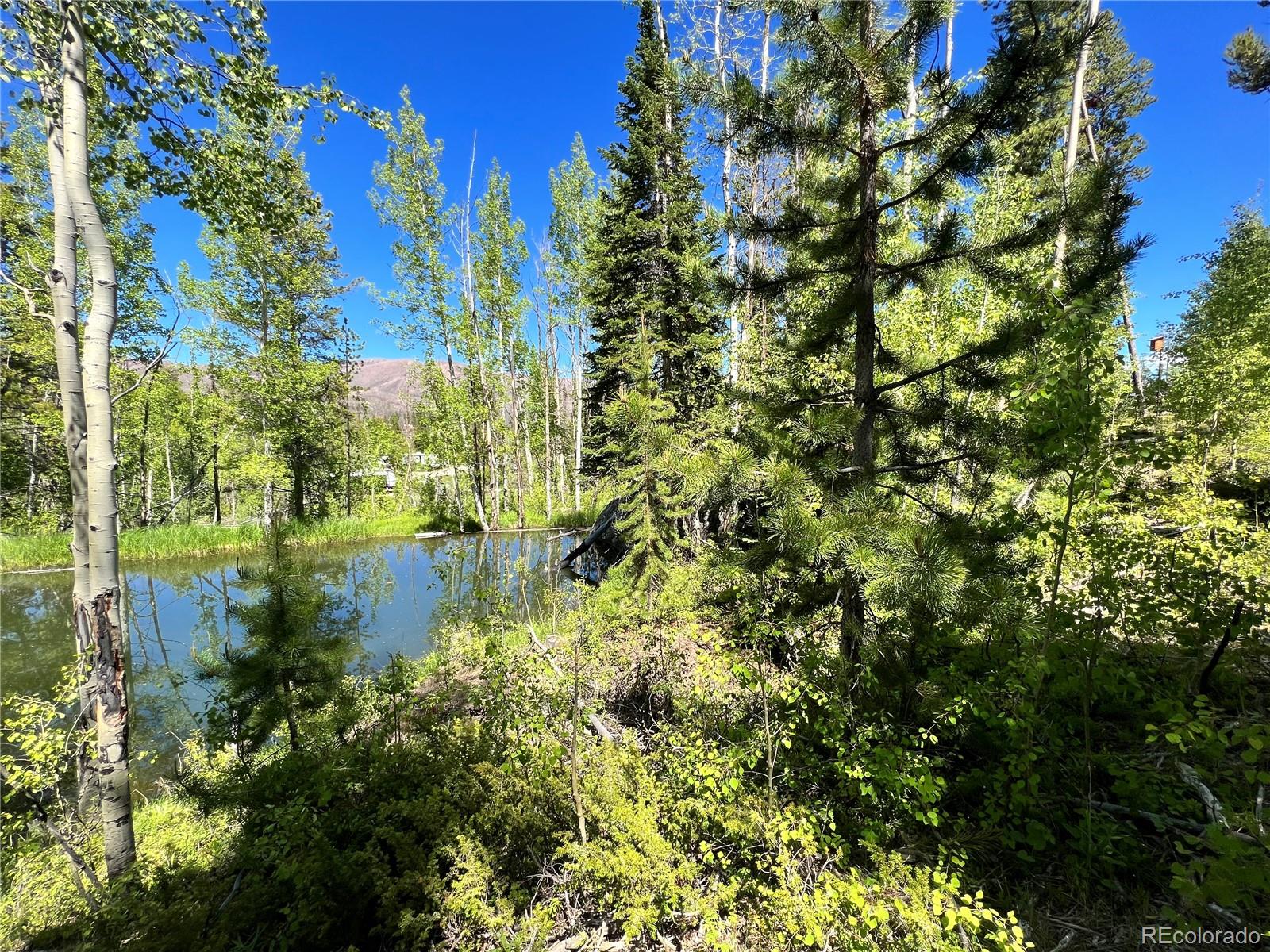 134 Mad Moose Lane Grand Lake CO 80447