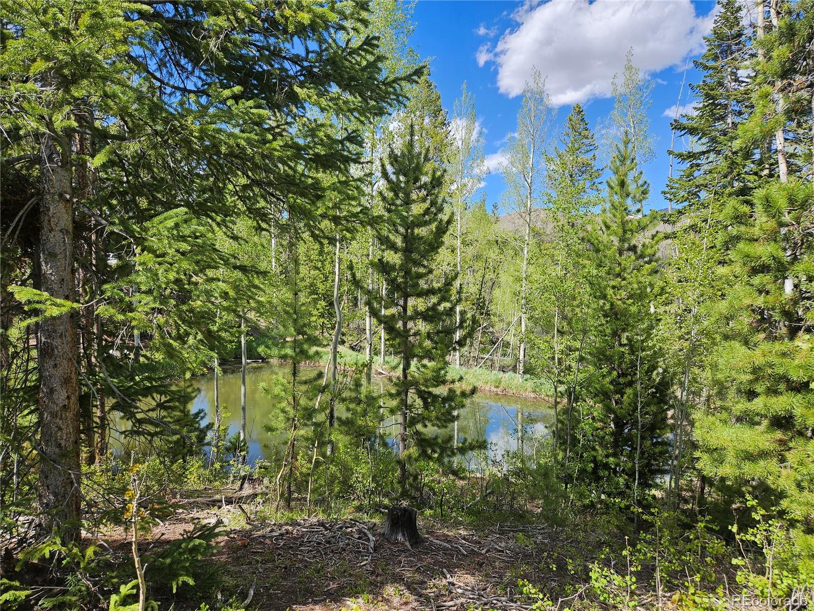 134 Mad Moose Lane Grand Lake CO 80447