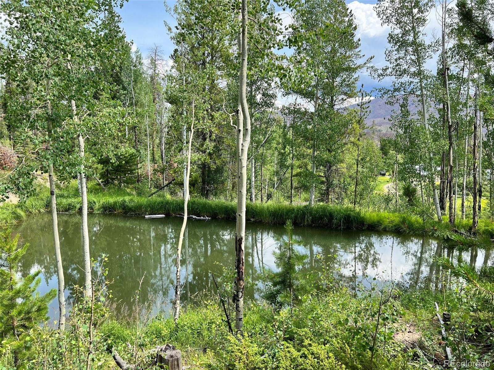 134 Mad Moose Lane Grand Lake CO 80447