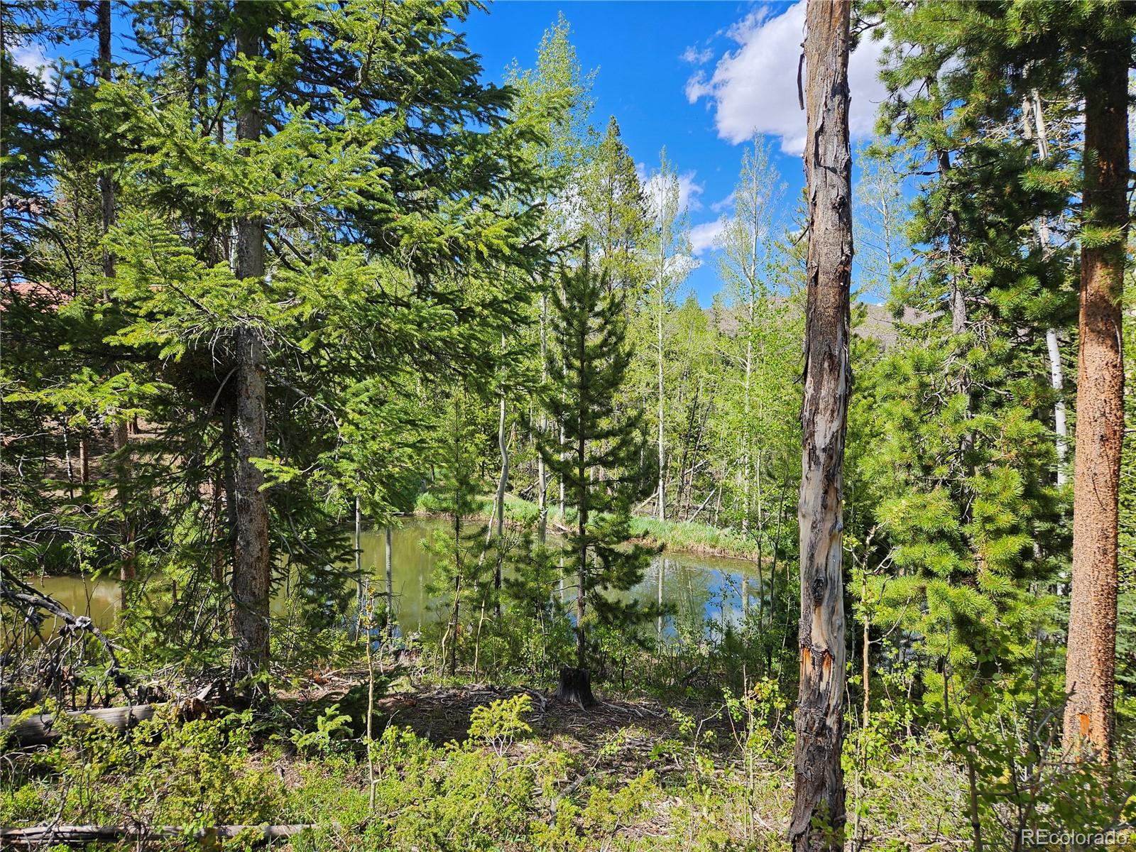 134 Mad Moose Lane Grand Lake CO 80447