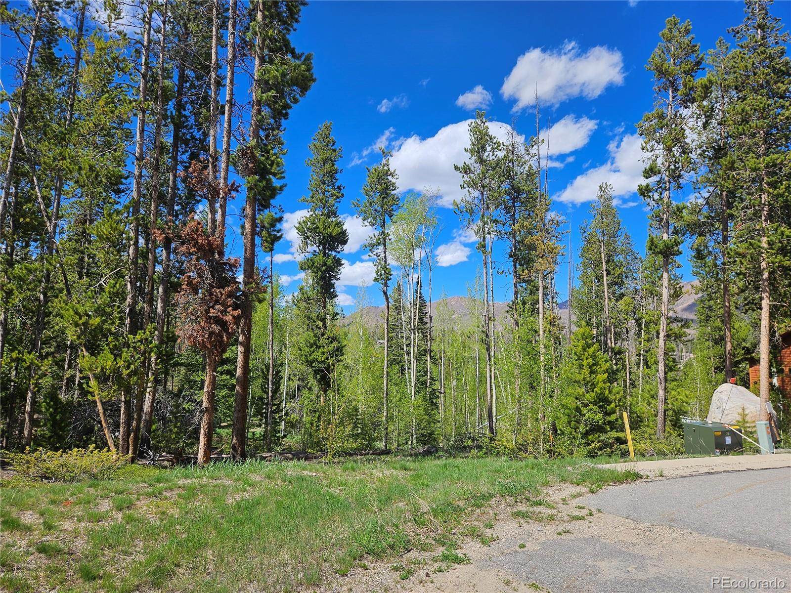 134 Mad Moose Lane Grand Lake CO 80447