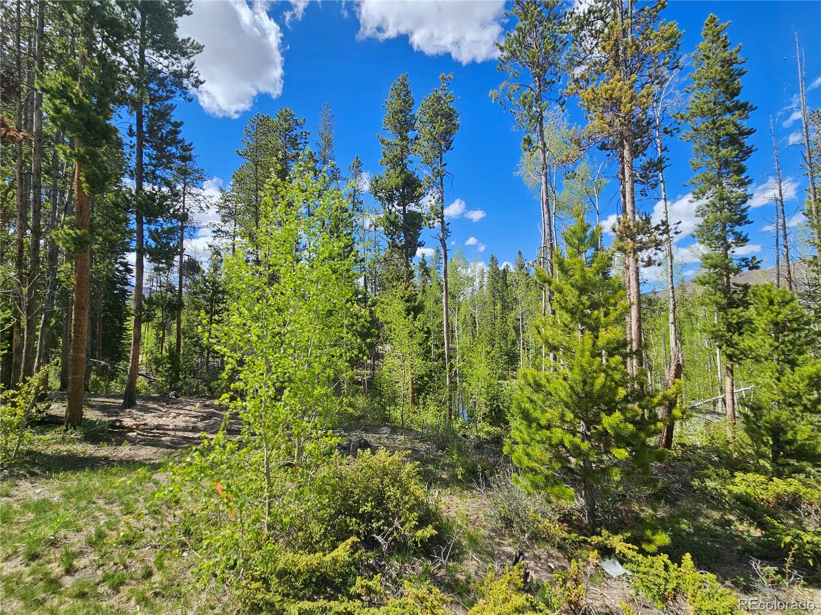 134 Mad Moose Lane Grand Lake CO 80447