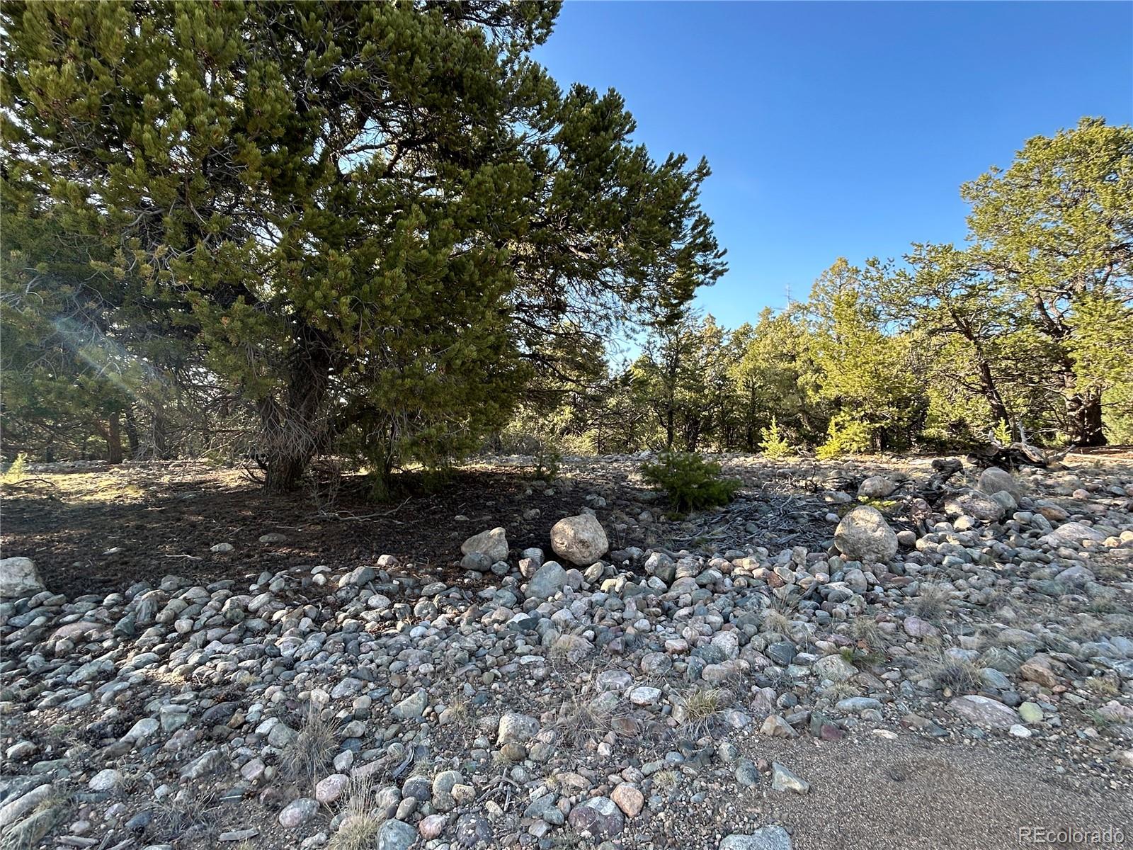 3821 Virtue Way Crestone CO 81131