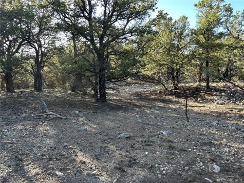 3821 Virtue Way Crestone CO 81131