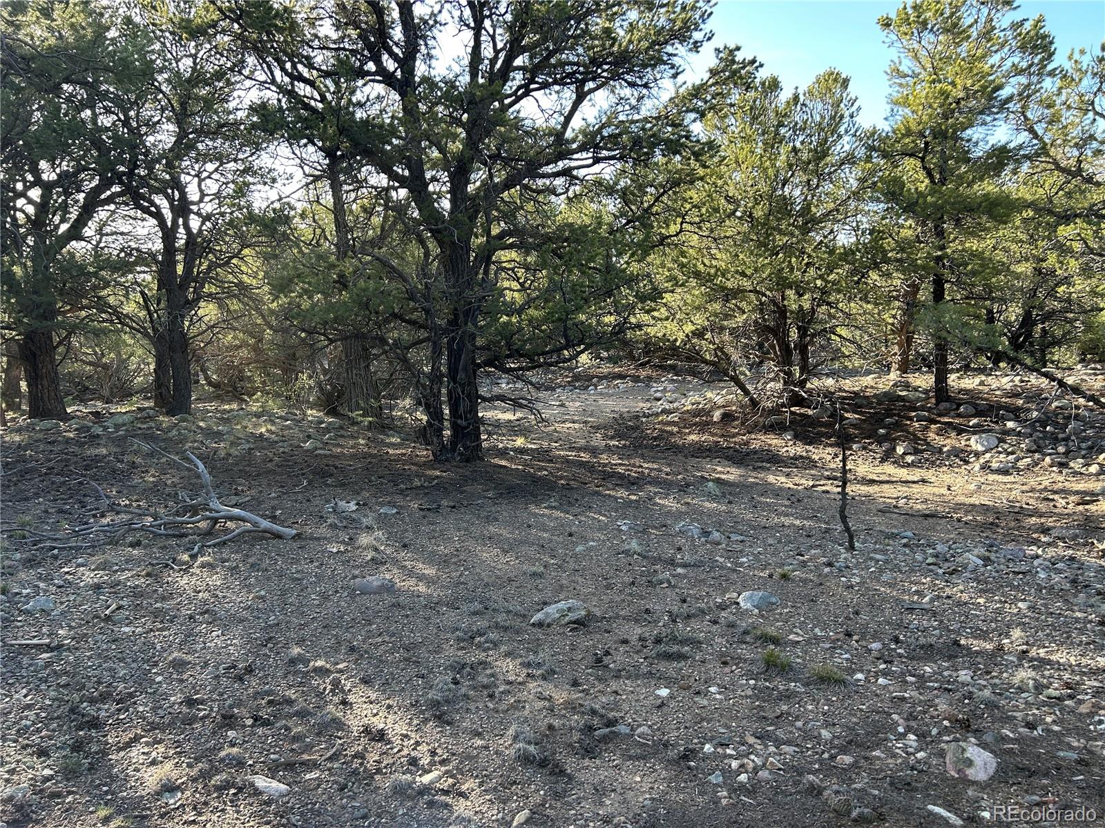 3821 Virtue Way Crestone CO 81131