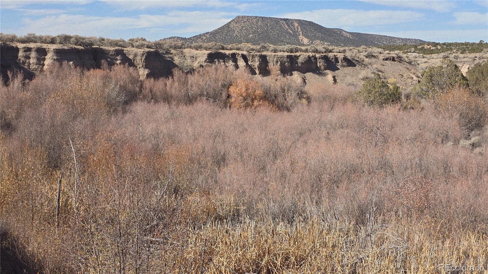 Lot 1768 Bateman Road Fort Garland CO 81133