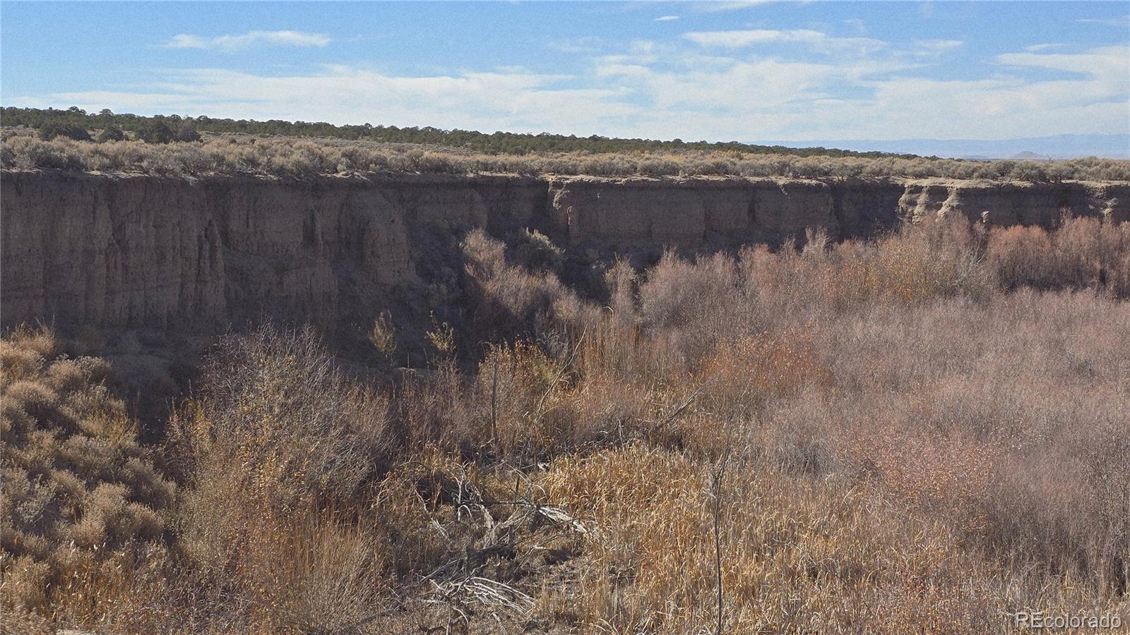 Lot 1768 Bateman Road Fort Garland CO 81133