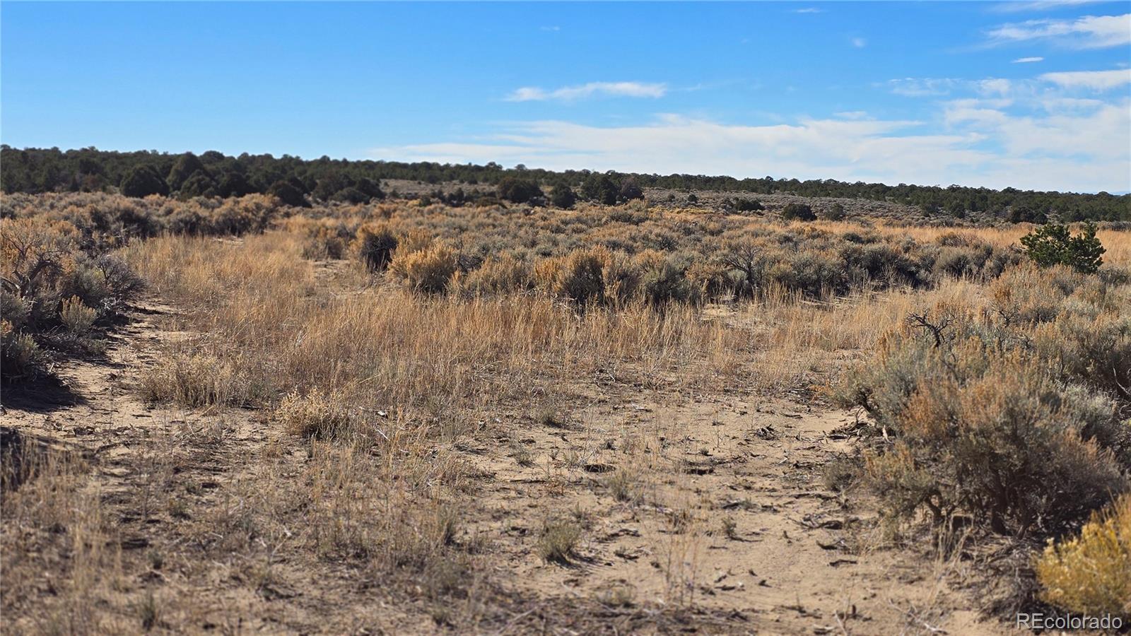 Lot 1768 Bateman Road Fort Garland CO 81133