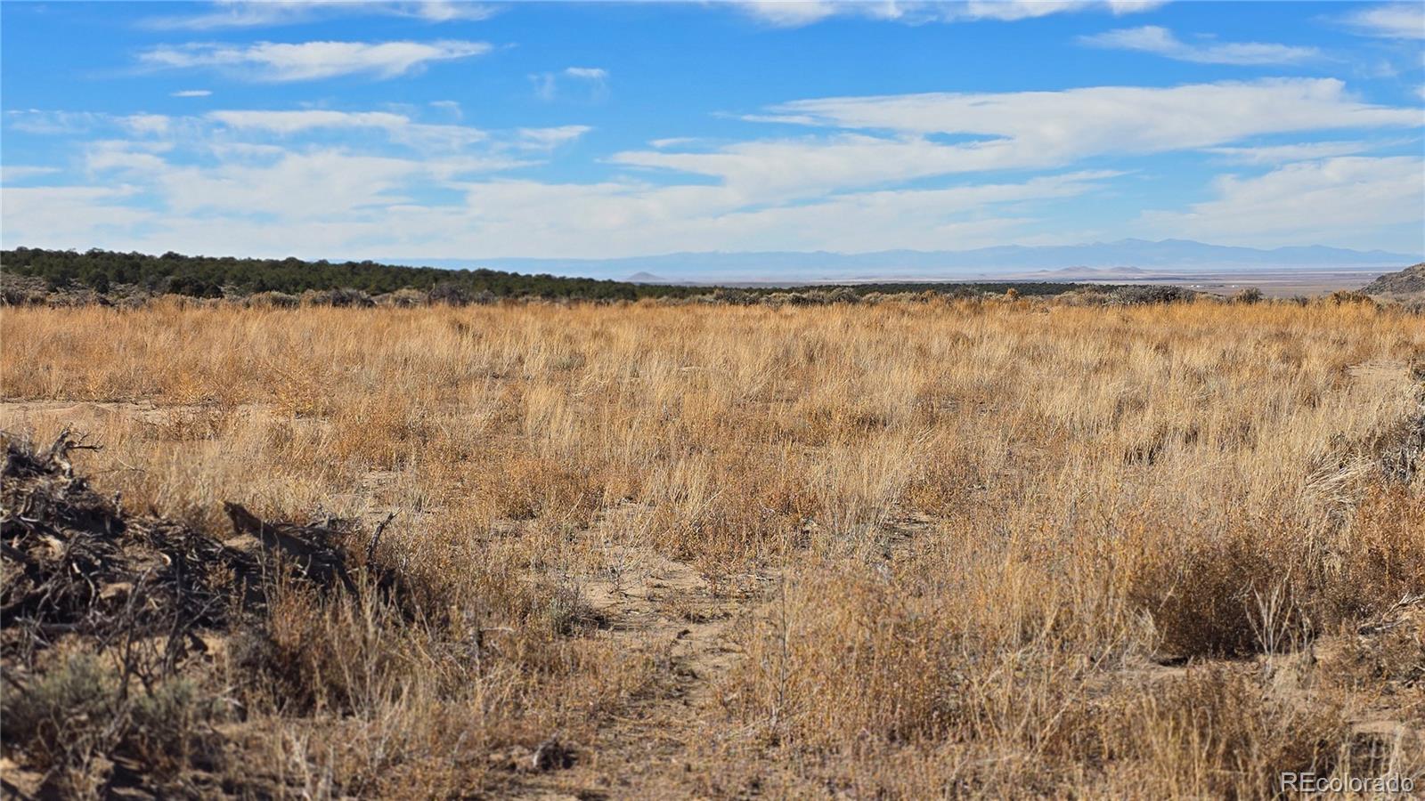 Lot 1768 Bateman Road Fort Garland CO 81133