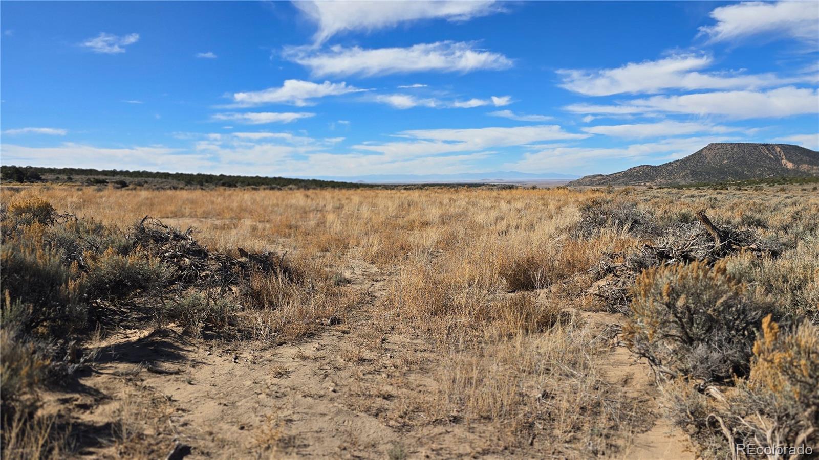 Lot 1768 Bateman Road Fort Garland CO 81133