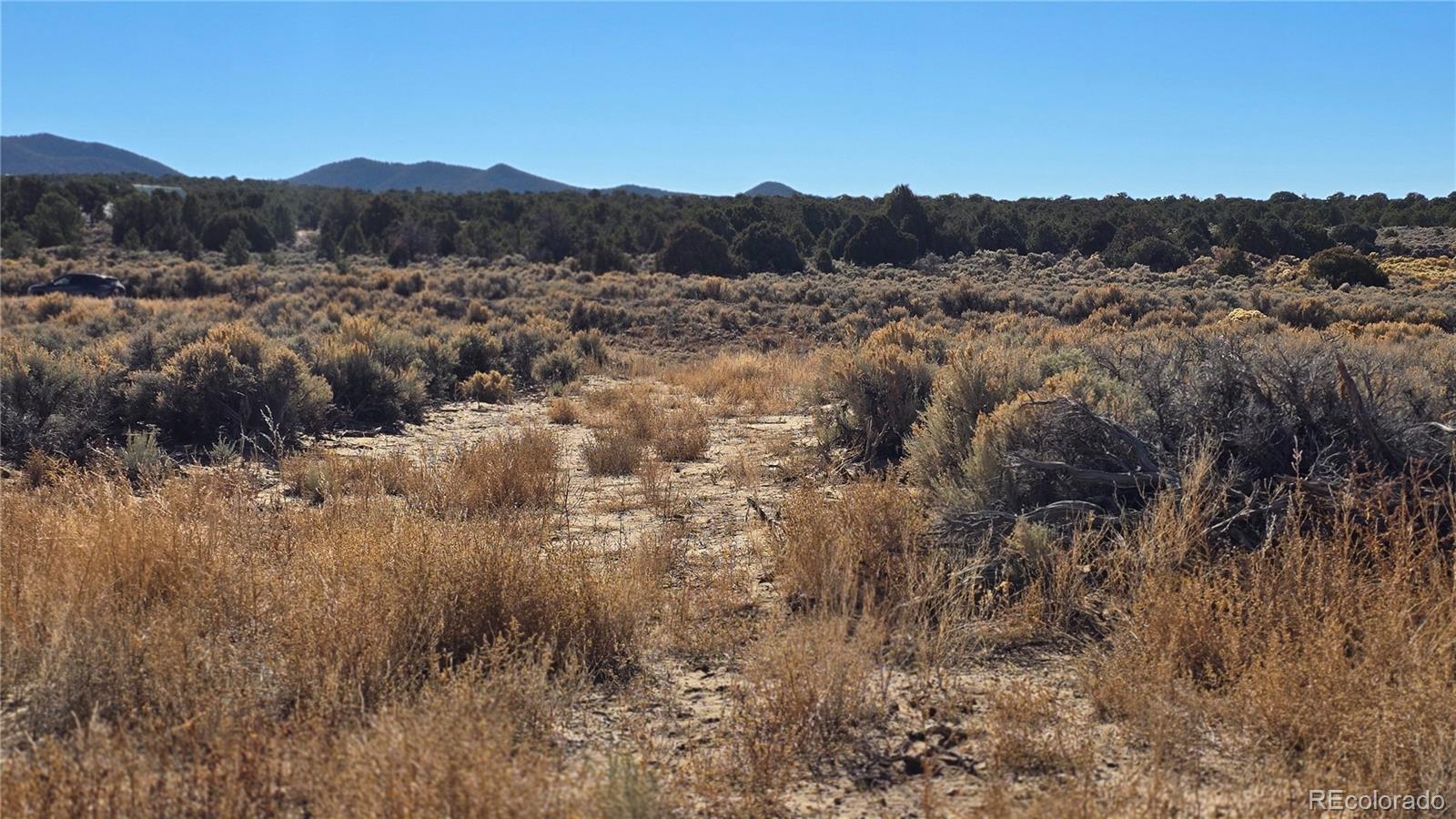 Lot 1768 Bateman Road Fort Garland CO 81133