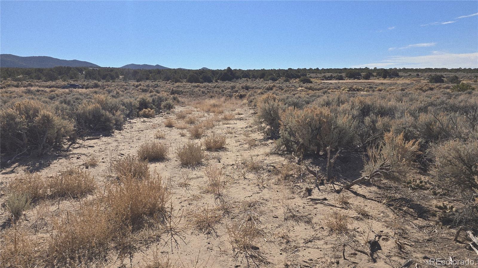 Lot 1768 Bateman Road Fort Garland CO 81133
