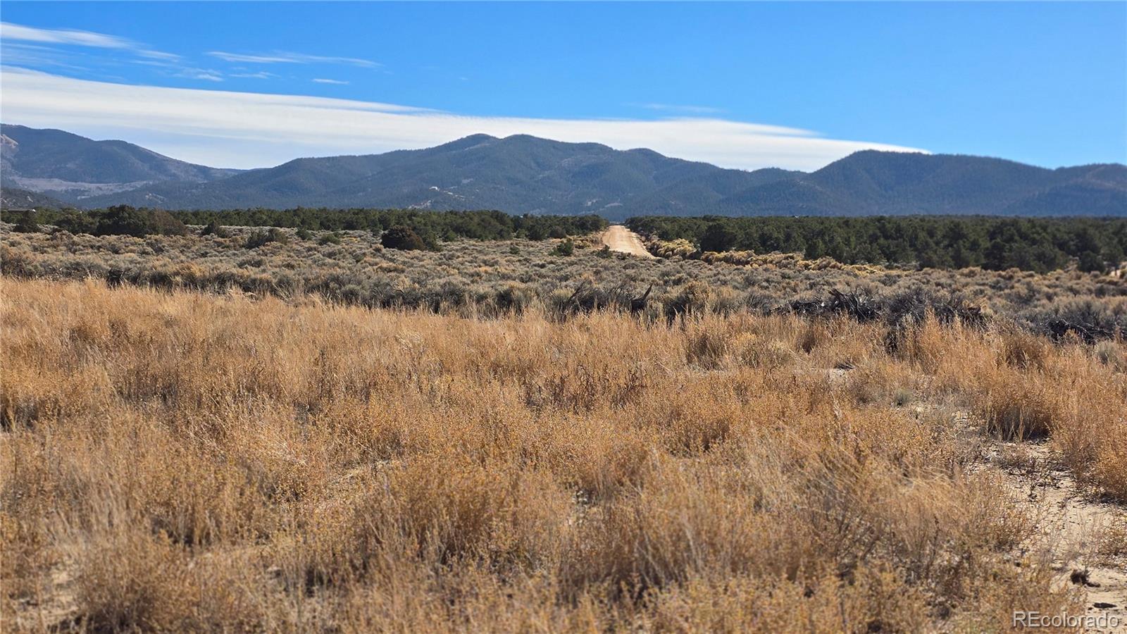 Lot 1768 Bateman Road Fort Garland CO 81133