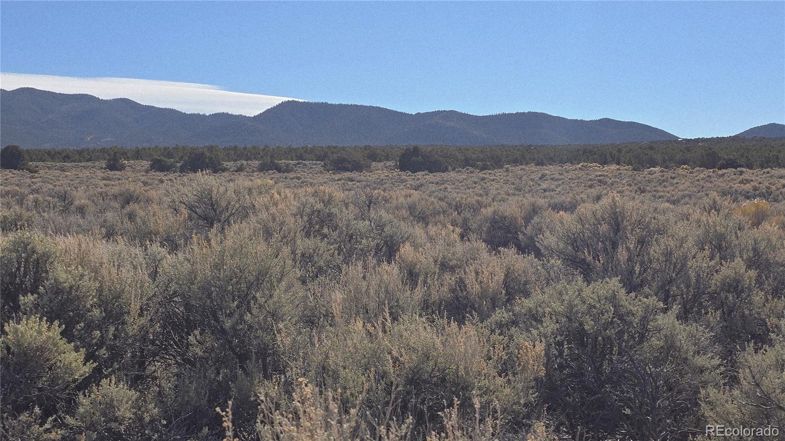 Lot 1768 Bateman Road Fort Garland CO 81133